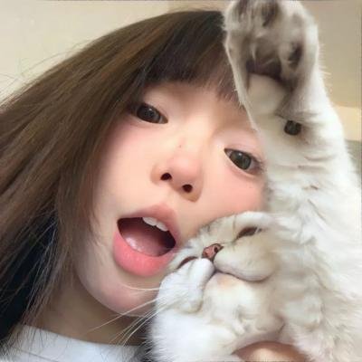 优雅的相遇